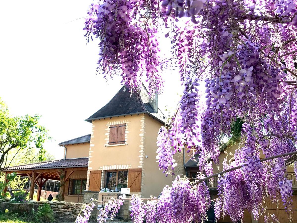 Les Cedres Du Linard, Chambres D'Hotes B&B Near Lascaux, Montignac, Sarlat-La-Caneda, Dordogne La Chapelle-Aubareil ภายนอก รูปภาพ