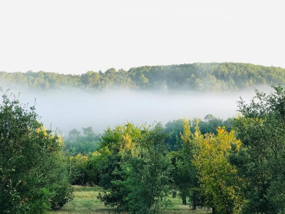 Les Cedres Du Linard, Chambres D'Hotes B&B Near Lascaux, Montignac, Sarlat-La-Caneda, Dordogne La Chapelle-Aubareil ภายนอก รูปภาพ