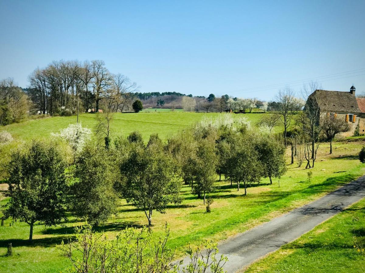 Les Cedres Du Linard, Chambres D'Hotes B&B Near Lascaux, Montignac, Sarlat-La-Caneda, Dordogne La Chapelle-Aubareil ภายนอก รูปภาพ