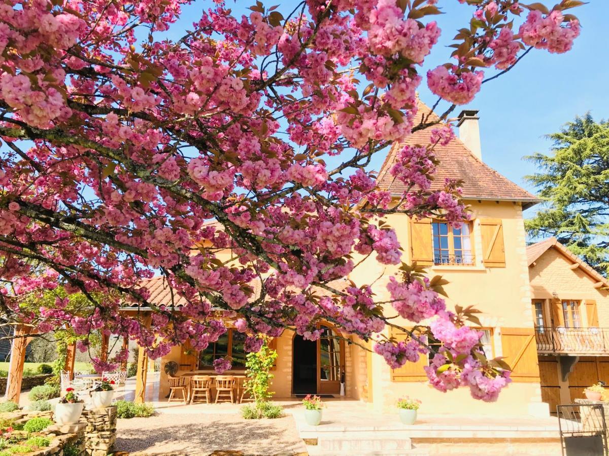 Les Cedres Du Linard, Chambres D'Hotes B&B Near Lascaux, Montignac, Sarlat-La-Caneda, Dordogne La Chapelle-Aubareil ภายนอก รูปภาพ